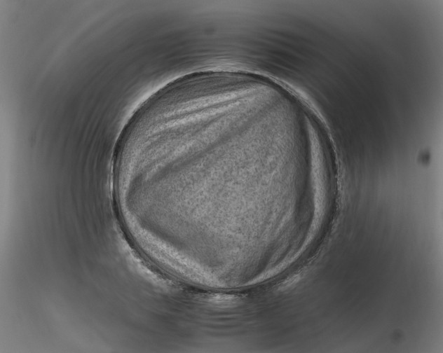 X0000116350839200912221500