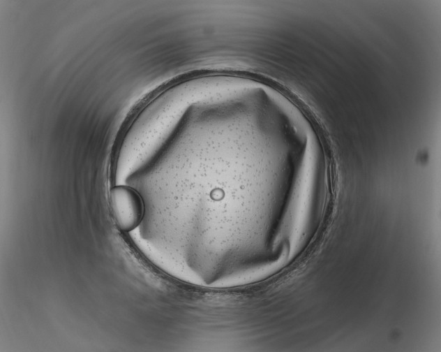 X0000116350840200912221500