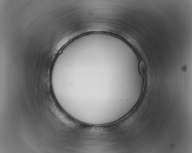 X0000116350842200912221500