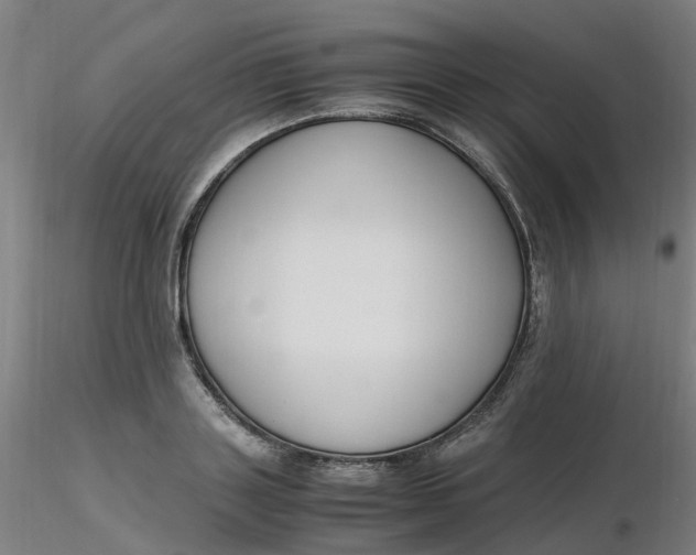 X0000116350843200912221500