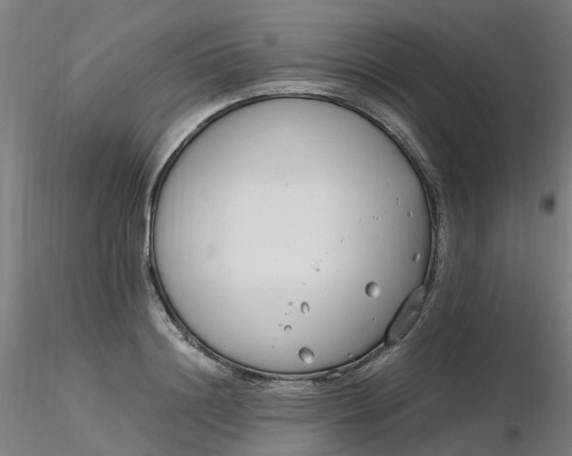 X0000116350844200912221500