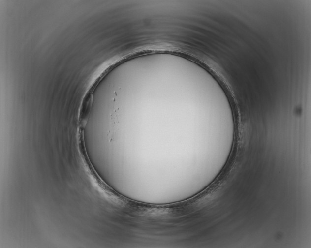 X0000116350845200912221500