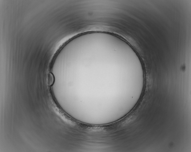 X0000116350846200912221500