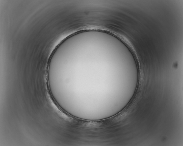 X0000116350847200912221500