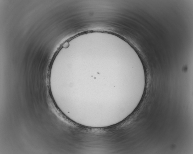 X0000116350848200912221500