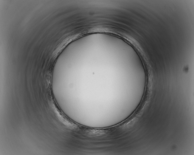 X0000116350849200912221500