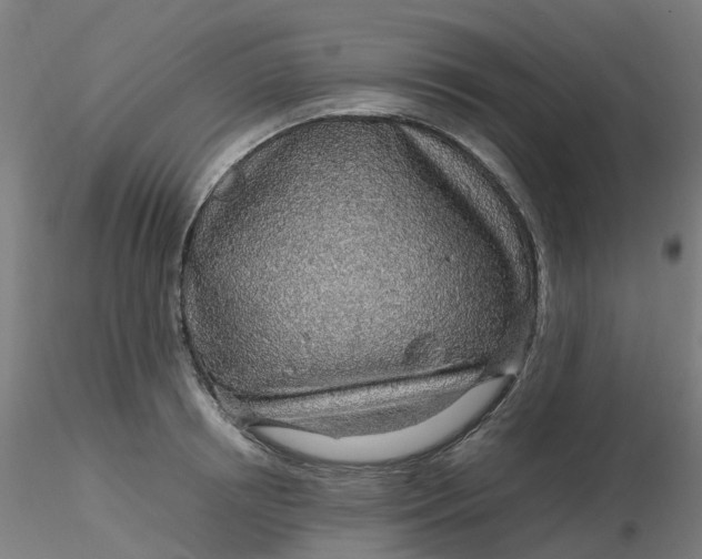 X0000116350850200912221500