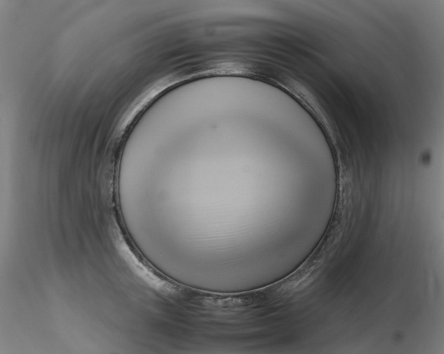 X0000116350851200912221500