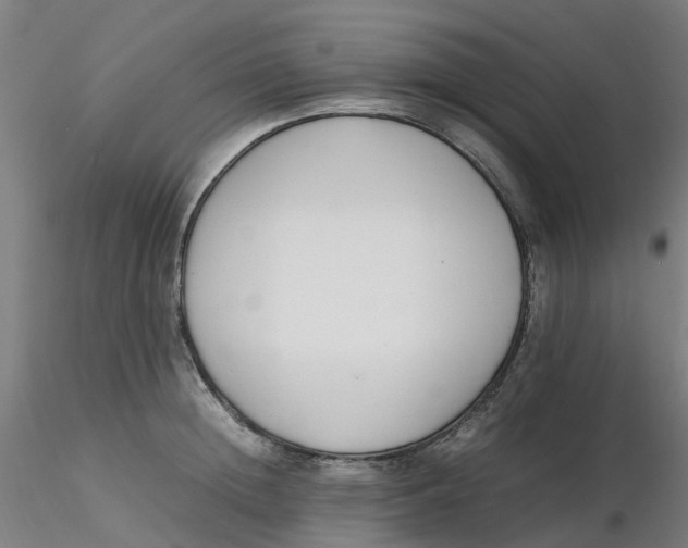 X0000116350852200912221500