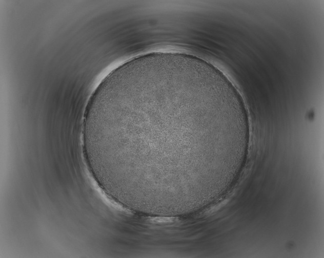 X0000116350853200912221500