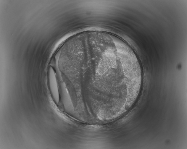 X0000116350854200912221500