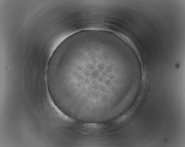 X0000116350855200912221500