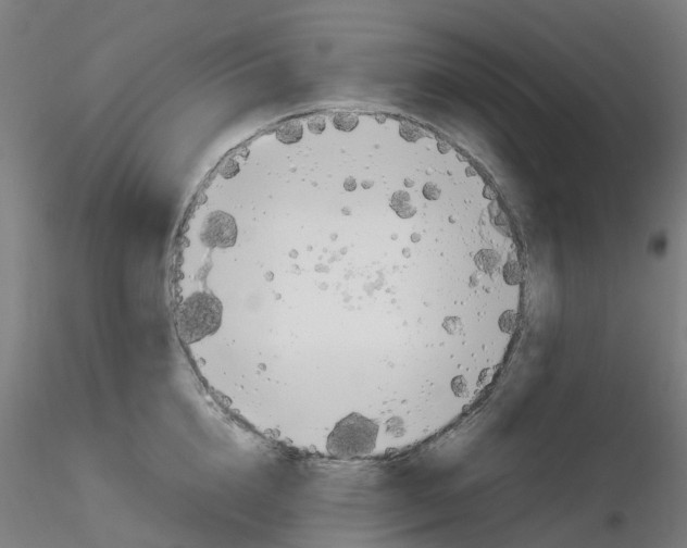 X0000116350856200912221500