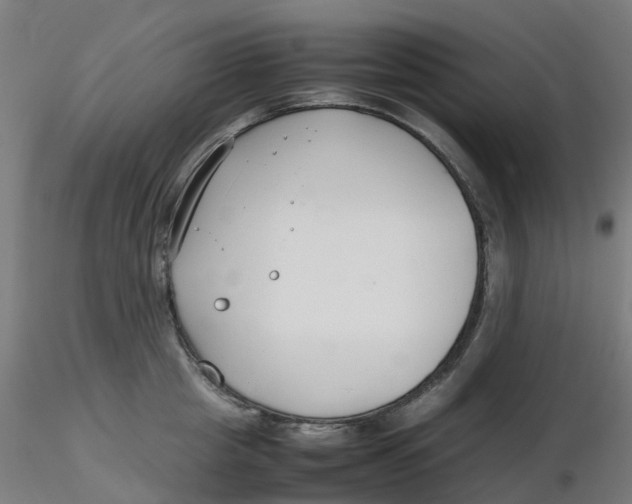 X0000116350857200912221500