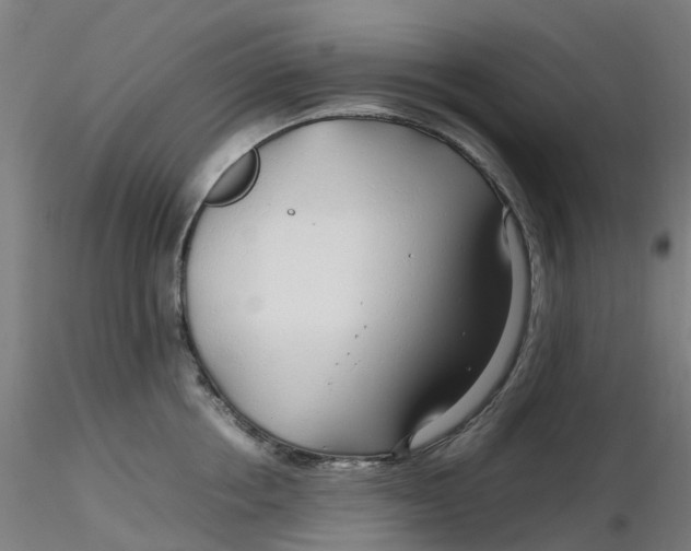 X0000116350858200912221500