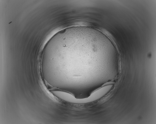 X0000116350859200912221500