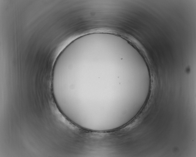 X0000116350860200912221500