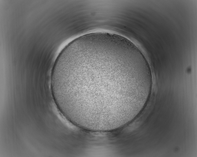 X0000116350862200912221500