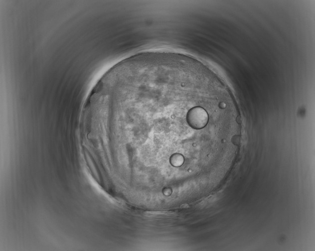 X0000116350863200912221500