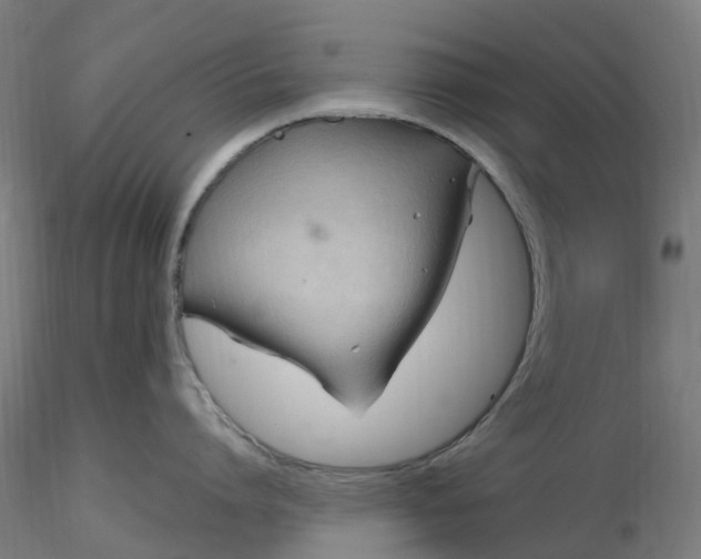 X0000116350864200912221500