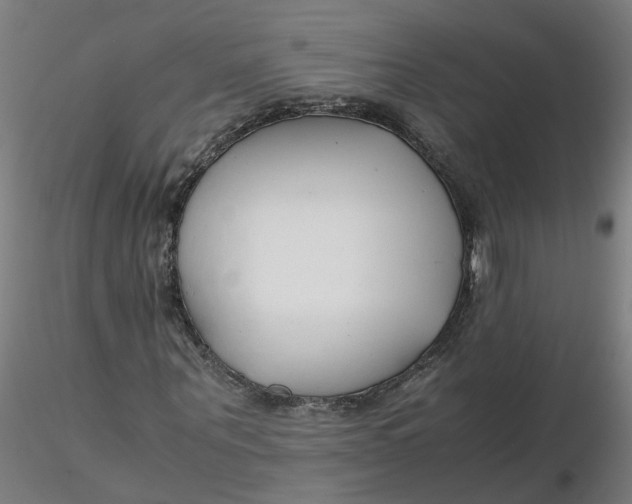 X0000116350867200912221500