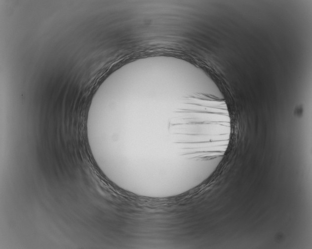 X0000116350868200912221500