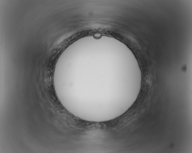 X0000116350869200912221500