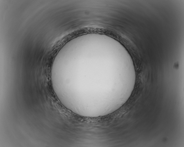 X0000116350870200912221500