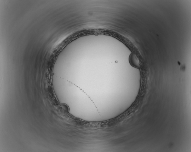 X0000116350871200912221500