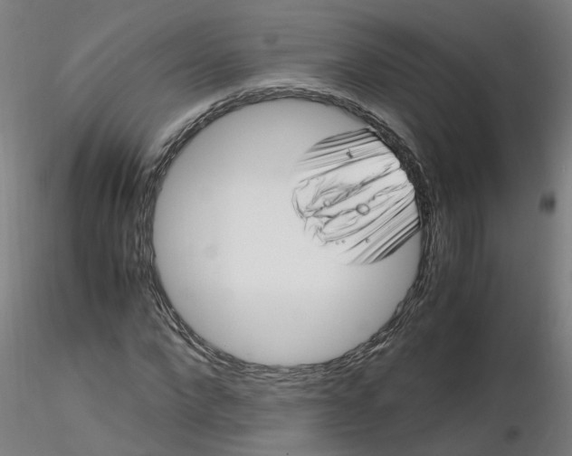 X0000116350872200912221500