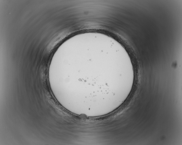 X0000116350873200912221500