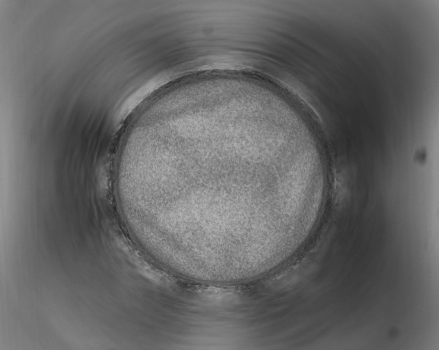 X0000116350874200912221500