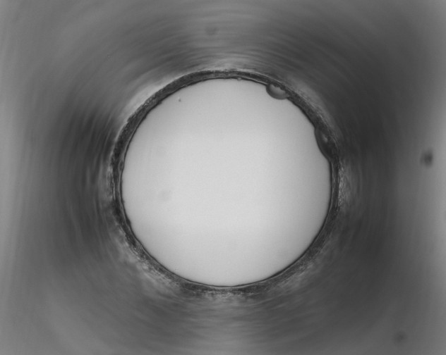 X0000116350876200912221500