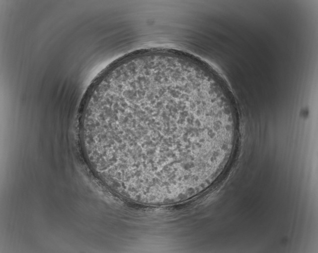 X0000116350879200912221500