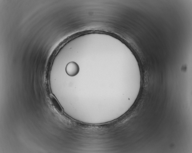 X0000116350880200912221500