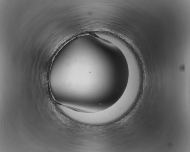 X0000116350881200912221500