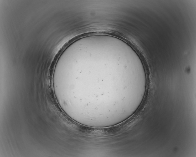 X0000116350883200912221459