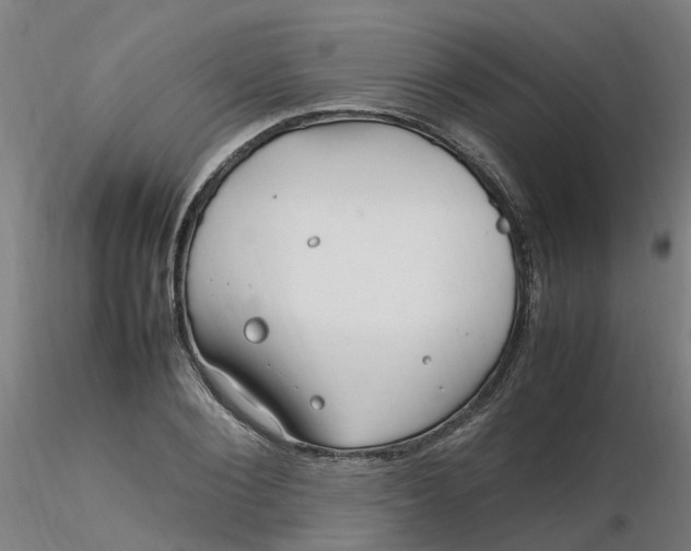 X0000116350884200912221459