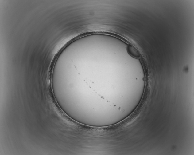 X0000116350885200912221459