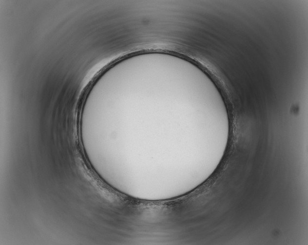 X0000116350886200912221459