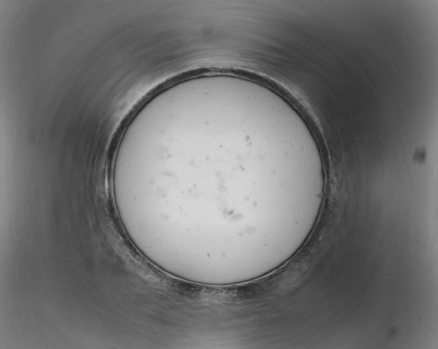 X0000116350887200912221459