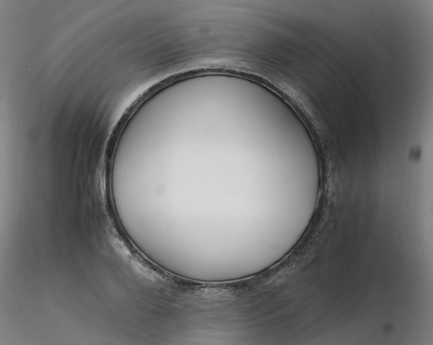 X0000116350888200912221459