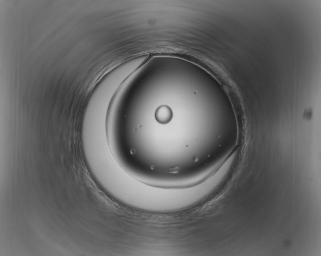 X0000116350889200912221459