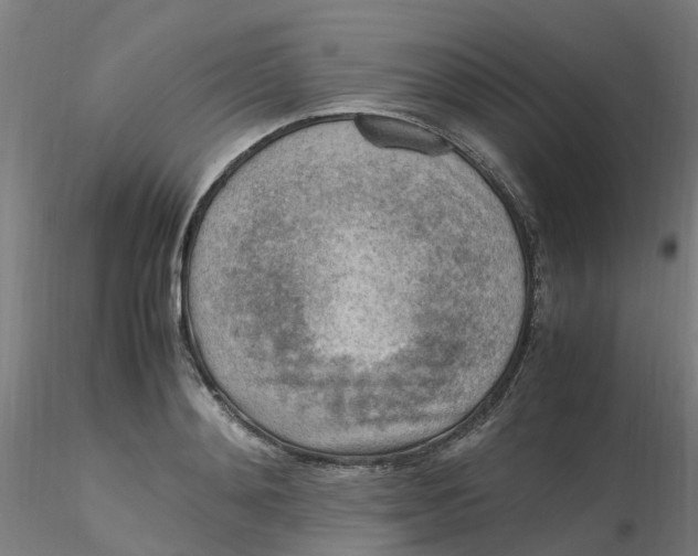 X0000116350892200912221459