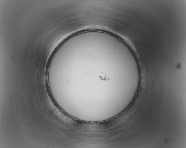 X0000116350895200912221459