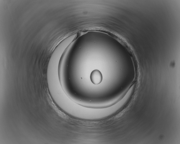 X0000116350897200912221459