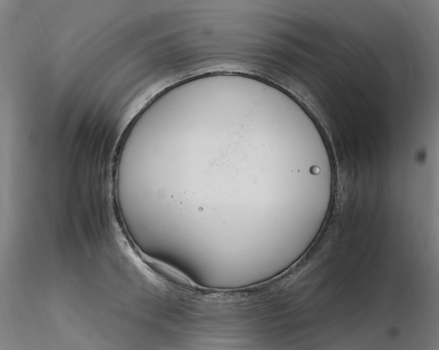 X0000116350898200912221459