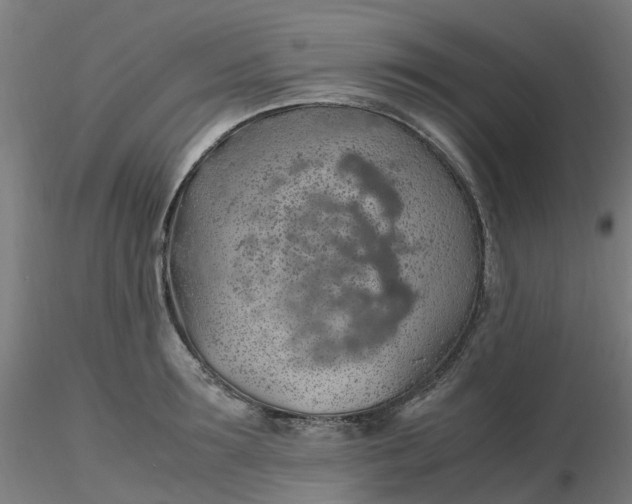 X0000116350899200912221459