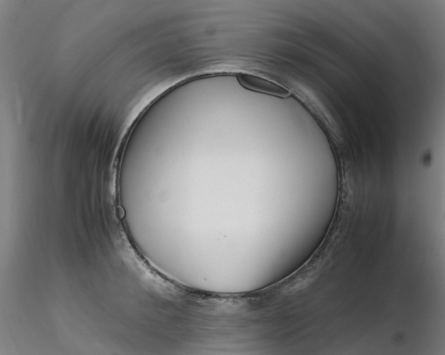 X0000116350900200912221459