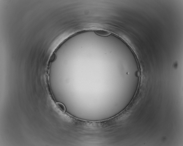 X0000116350901200912221459